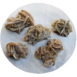 Desert Rose, decor pentru acvariu / terariu (S; Lungime: 7-10 cm | Înălțime: 6-7 cm | Greutate: 150-250 g)