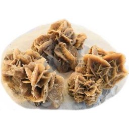 Desert Rose, decor pentru acvariu / terariu (XL; Lungime: 15-25 cm | Înălțime: 10-15 cm | Greutate: 700-1100 g)