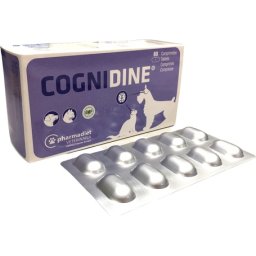 Cognidine tablete pentru câini și pisici pentru susținerea sistemului nervos 60 buc