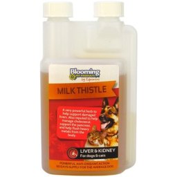 Blooming Pets Milk Thistle - Tinctură de ciulin de lapte pentru susținerea funcției hepatice 250 ml