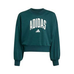 ADIDAS SPORTSWEAR Hanorac sport verde smarald / alb