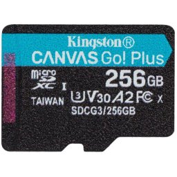 Card memorie Canvas Go Plus SDCG4 256GB, Class 10, UHS-I U3, V30, A2