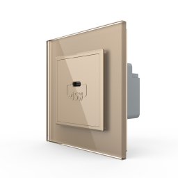 Priza USB Tip C Livolo cu Rama din Sticla SmartElectro IntelligentHouse