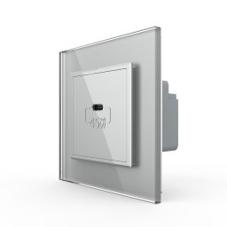 Priza USB Tip C Livolo cu Rama din Sticla SmartElectro IntelligentHouse