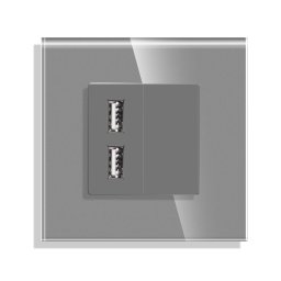 Priza USB cu Rama din Sticla LUXION SmartElectro IntelligentHouse
