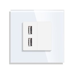 Priza USB cu Rama din Sticla LUXION SmartElectro IntelligentHouse