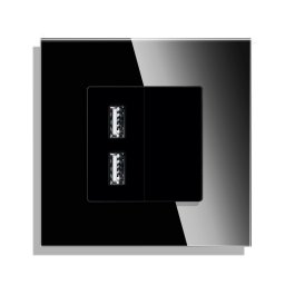 Priza USB cu Rama din Sticla LUXION SmartElectro IntelligentHouse