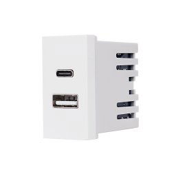 Modul Priza USB A+C 1M LUXION, Standard Italian SmartElectro IntelligentHouse
