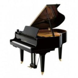 Kawai GL 50 E/P
