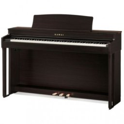Kawai CN-301 R