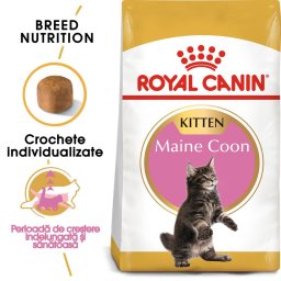 ROYAL CANIN Kitten Hrana pisoi rasa maine coon 4 kg