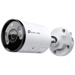 Camera supraveghere exterior TP-LINK INSIGHT S385 4mm, 8MP