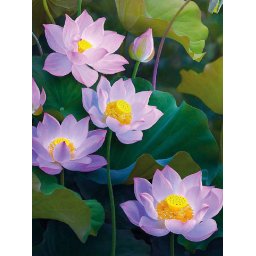 Set pictura pe numere, cu sasiu, Natura pura, 30x40 cm