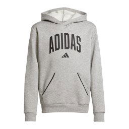 ADIDAS SPORTSWEAR Hanorac sport gri / negru