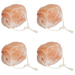 Blocuri de Sare 4 buc cu Corde pentru Animale 10 kg Roz GartenMobel Dekor