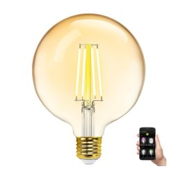 Bec LED dimabil Aigostar FILAMENT G125 E27/6W/230V 2700-6500K Wi-Fi