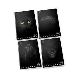 Pigna: Monocromo Black caiet cu linii - A4, 81-38, diferite