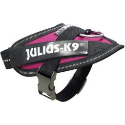 Ham Julius-K9 IDC Power roz închis (Mărime: Baby 1, 0.8-3 kg, 29-36 cm)