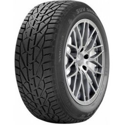 Taurus 225/55 R16 WINTER 95