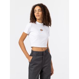 DICKIES Tricou 'MAPLE VALLEY' albastru închis / galben / roșu / alb