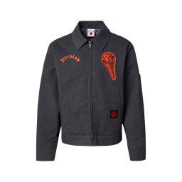 Billionaire Boys Club Geacă de primăvară-toamnă portocaliu închis / negru