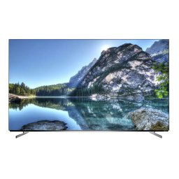 Televizor Metz OLED 55MOC9010 126cm Smart Google TV 4K Ultra HD Clasa F Model 2024 Negru