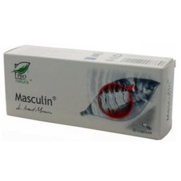 Masculin