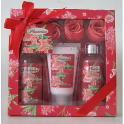 Set floral Red