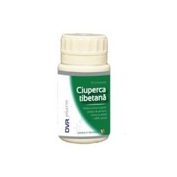 Ciuperca Tibetana DVR Pharm x 60 cps