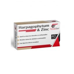 Harpagophytum & Zinc 40cps
