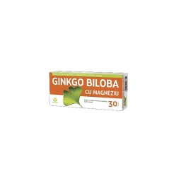Ginkgo Biloba 40mg + Magneziu 150mg 30cpr