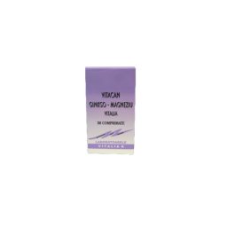 Vitacan Ginkgo Magneziu 30cps