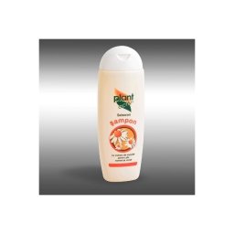 Sampon Sebacon pentru par normal & uscat 200ml