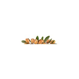 ULEI DE ARGAN 30ML, CETA