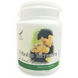 Tribulus terrestris 150 capsule