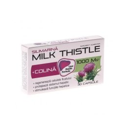 Milk thistle + colina 30cps ZDROVIT