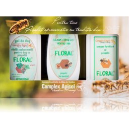 SET CADOU CASETA FLORAL