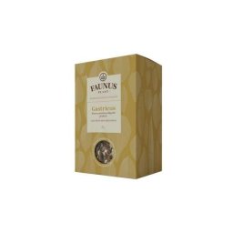 CEAI GASTRICUS 90GR (STOMAC SANATOS&DIGESTIE PERFECTA)