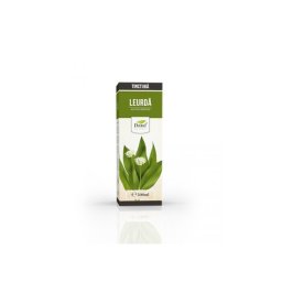 TINCTURA LEURDA 500ML