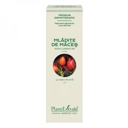CONCENTRAT MLADITE MACES 15ML
