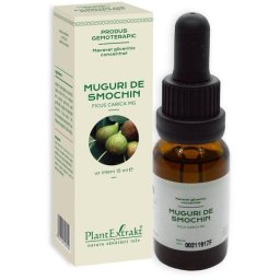CONCENTRAT MUGURI SMOCHIN 15ML
