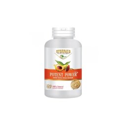 Potent Power 120 tablete