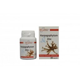 Harpagophytum & Zinc 40cps