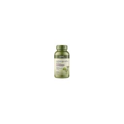 EXTRACT DE ASHWAGANDHA 600MG 60CPS GNC