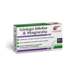 GINKO BILOBA SI MAGNEZIU