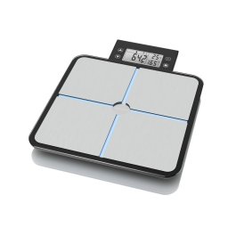 Cantar BS 460 silver