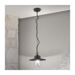 Orion AL 11-1318 - Corp de iluminat suspendat pentru exterior EDWARD, 1xE27/60W/230V, IP44, antracit