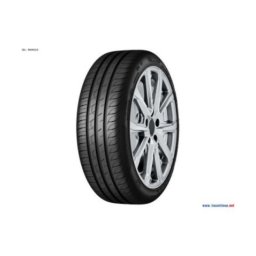 SAVA INTENSA HP 2 205/55R16 91H