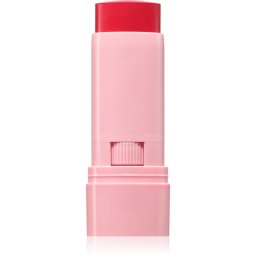 Astra Make-up IDENTISTICK blush cremos stick 03 - Berry Being 1 buc