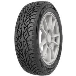 Petlas 205/55 R16 GLACIER W661 91T